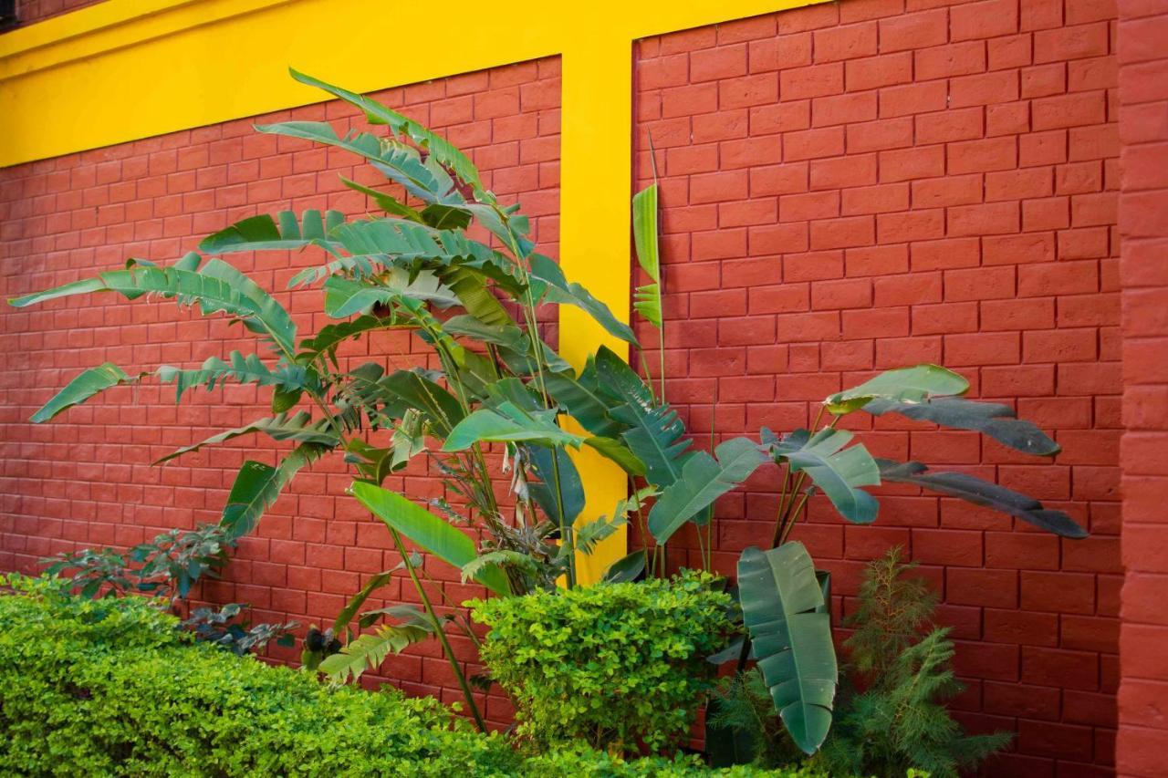 רישיקש Mvt Guesthouse & Restaurant מראה חיצוני תמונה