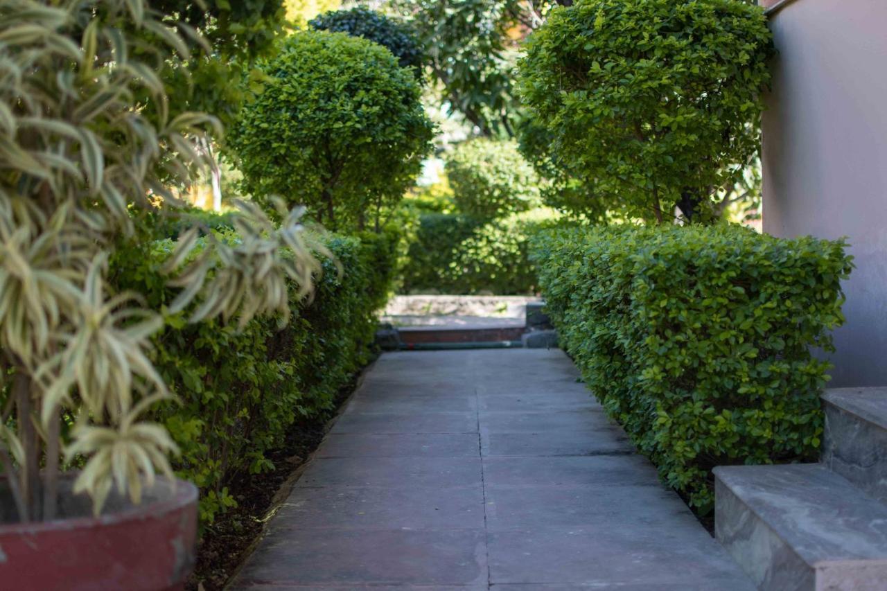 רישיקש Mvt Guesthouse & Restaurant מראה חיצוני תמונה