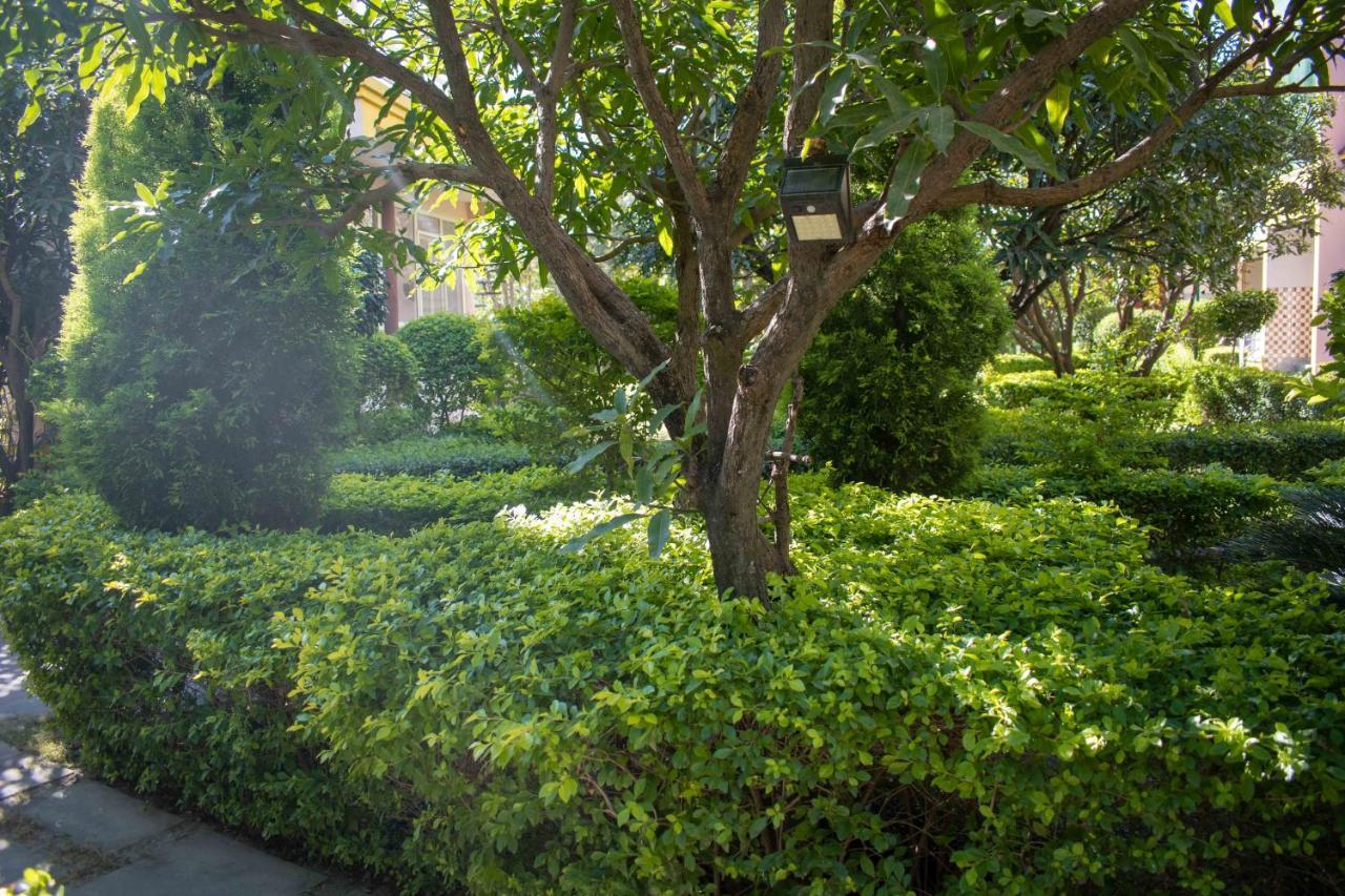 רישיקש Mvt Guesthouse & Restaurant מראה חיצוני תמונה