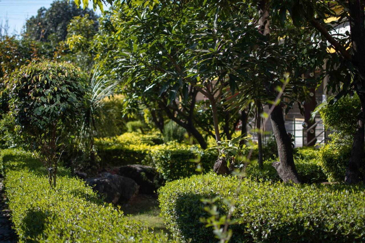 רישיקש Mvt Guesthouse & Restaurant מראה חיצוני תמונה