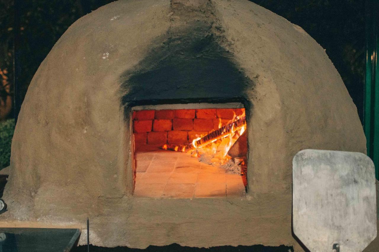 רישיקש Mvt Guesthouse & Restaurant מראה חיצוני תמונה